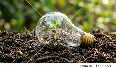 Green energy and eco-friendly innovation concept with a sprout growing in a light bulb on soil 137400941