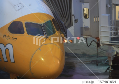 コックピット 137401034