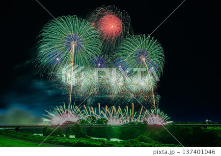 利根川に咲く大輪の花 利根川に咲く大輪の花 137401046