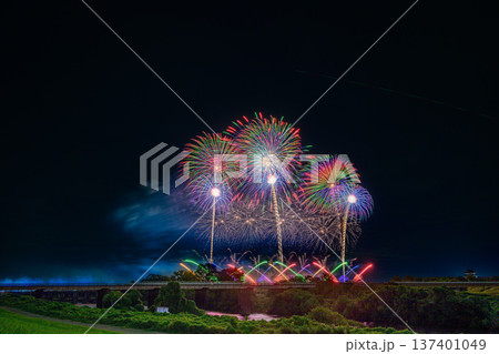 利根川に咲く大輪の花 利根川に咲く大輪の花 137401049