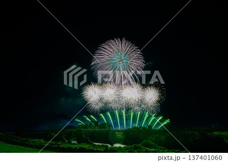 利根川に咲く大輪の花 利根川に咲く大輪の花 137401060