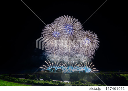 利根川に咲く大輪の花 利根川に咲く大輪の花 137401061