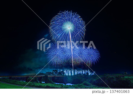 利根川に咲く大輪の花 利根川に咲く大輪の花 137401063