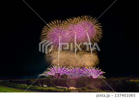 利根川に咲く大輪の花 137401065