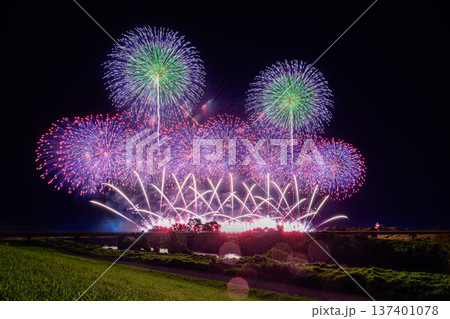 利根川に咲く大輪の花 137401078