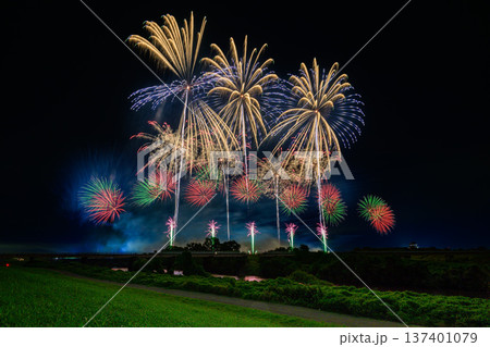 利根川に咲く大輪の花 利根川に咲く大輪の花 137401079