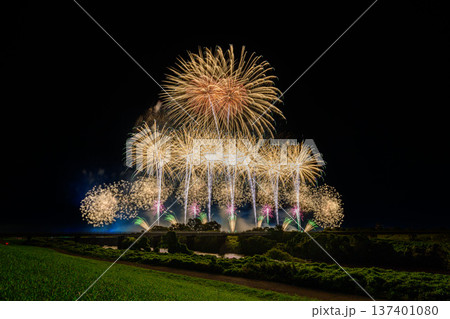 利根川に咲く大輪の花 137401080