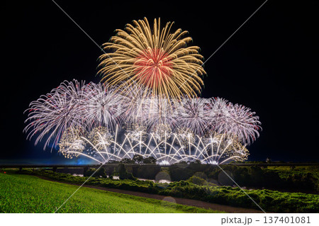 利根川に咲く大輪の花 137401081