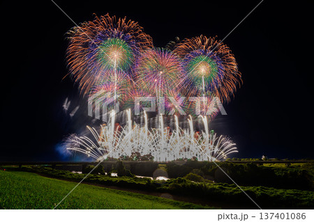 利根川に咲く大輪の花 利根川に咲く大輪の花 137401086