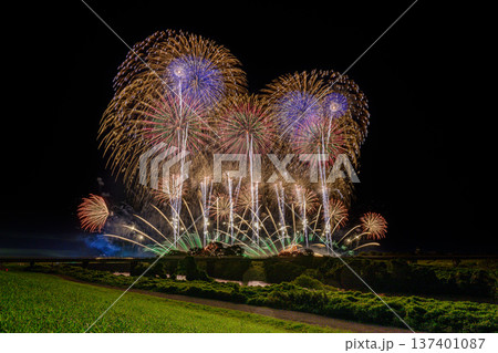 利根川に咲く大輪の花 利根川に咲く大輪の花 137401087