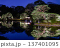 水面に映る夜桜 137401095