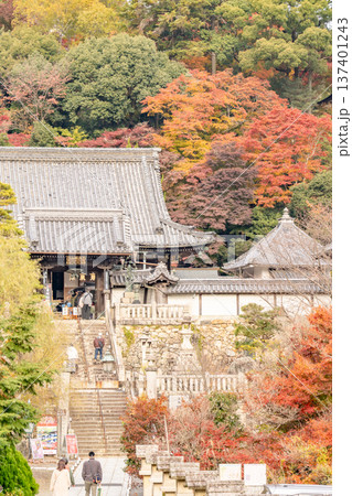 京都府長岡京市 西山 楊谷寺 (柳谷観音) 山門、本堂と紅葉 京都府長岡京市 西山 楊谷寺 (柳谷観音) 山門、本堂と紅葉 137401243