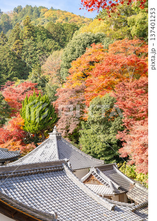 京都府長岡京市　西山　楊谷寺 (柳谷観音)　境内の紅葉（心参道から見下ろす景色） 137401253
