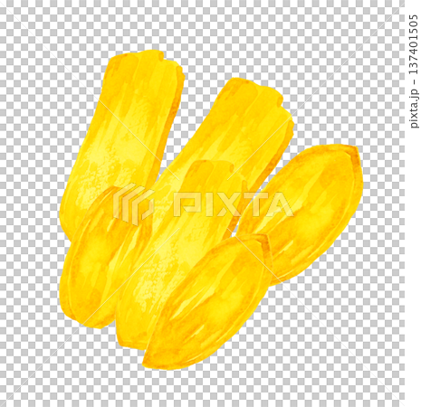 干し芋のセット　手描き水彩イラスト素材 137401505