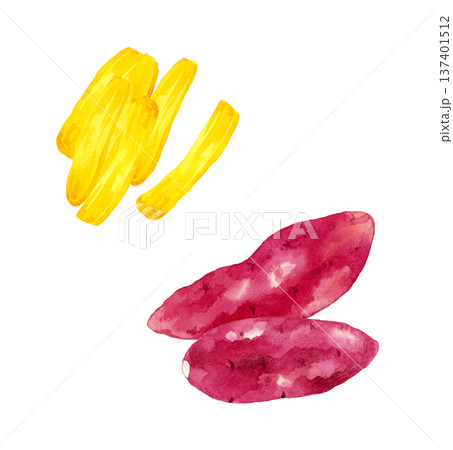 干し芋とサツマイモのセット　手描き水彩イラスト素材 137401512