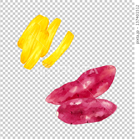 干し芋とサツマイモのセット　手描き水彩イラスト素材 137401512