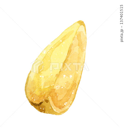 ナチュラルカットの皮付きフライドポテト 料理・食べ物の手描き水彩イラスト素材 ナチュラルカットの皮付きフライドポテト 料理・食べ物の手描き水彩イラスト素材 137401515