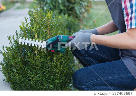 hand trimming bush with electric shears in garden hand trimming bush with electric shears in garden 137402697
