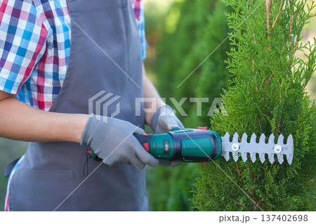 hand trimming bush with electric shears in garden hand trimming bush with electric shears in garden 137402698