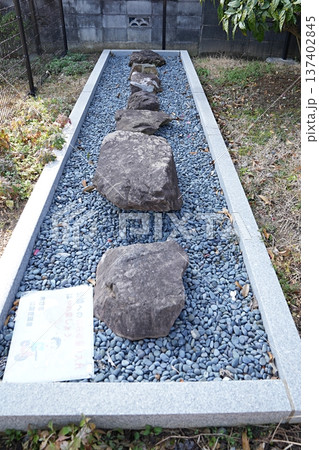 京都　向日市　長岡宮の礎石（初春） 137402845
