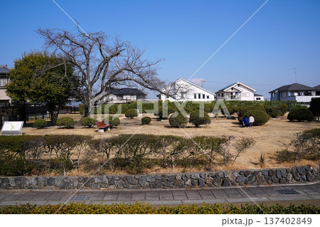 京都　向日市　長岡宮の大極殿跡と後方の小安殿（後殿）跡（初春） 137402849