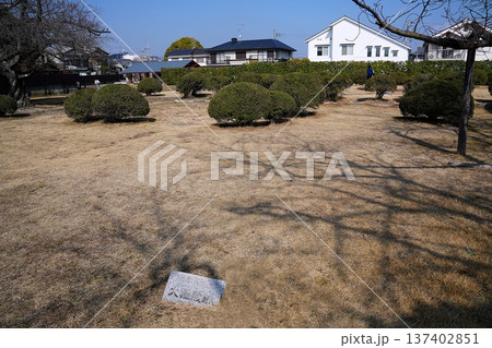 京都 向日市 長岡宮の大極殿跡と後方の小安殿(後殿)跡(初春) 京都 向日市 長岡宮の大極殿跡と後方の小安殿(後殿)跡(初春) 137402851