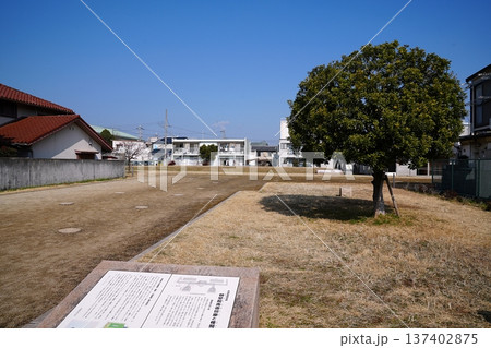 京都　向日市　長岡宮の朝堂院　南面回廊跡と西第四堂跡（初春） 137402875