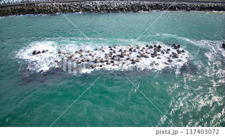 富山湾沿岸で見つけた波に削られて水没しそうな離岸堤 富山湾沿岸で見つけた波に削られて水没しそうな離岸堤 137403072