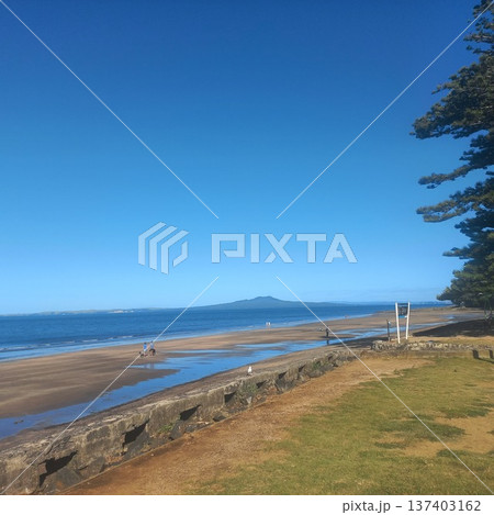 ニュージーランドの青い空と海 137403162