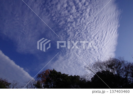 篠栗九大の森上空の一直線の雲 137403460