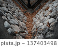 石積みの水路に積もった枯れ葉・秋の情景 137403498