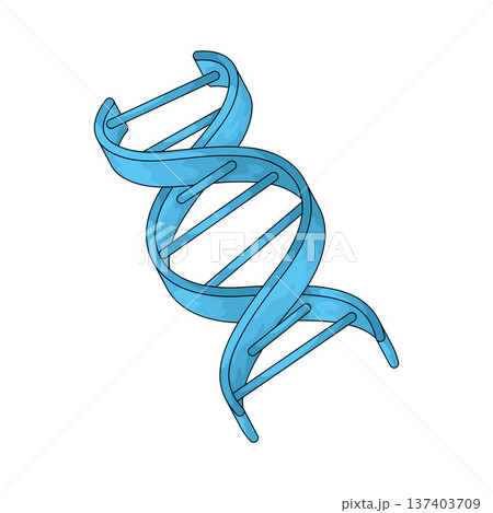 Illustration of DNA Strand Illustration of DNA Strand 137403709