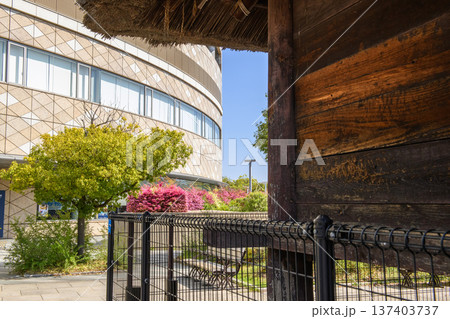 大阪歴史博物館と復元された高床式倉庫　大阪市 137403737