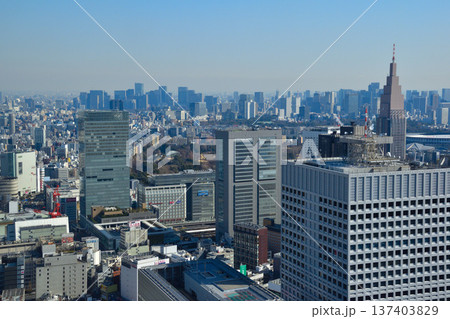 都市風景　東京　新宿区　千代田区　港区 137403829