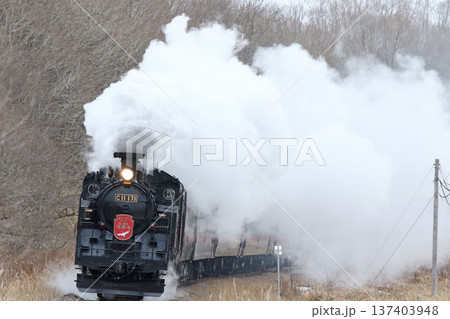 SL冬の湿原号　釧網本線　SL列車　蒸気機関車　C11 171 137403948