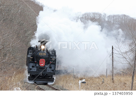 SL冬の湿原号　釧網本線　SL列車　蒸気機関車　C11 171 137403950