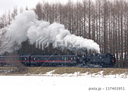 SL冬の湿原号　釧網本線　SL列車　蒸気機関車　C11 171 137403951