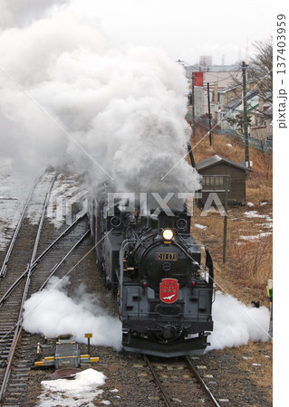 SL冬の湿原号 釧網本線 SL列車 蒸気機関車 C11 171 SL冬の湿原号 釧網本線 SL列車 蒸気機関車 C11 171 137403959