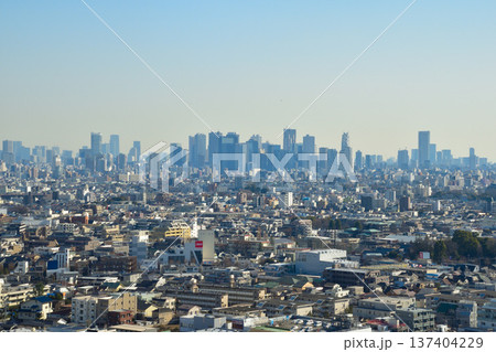 都市風景　東京　新宿　ビル群 137404229