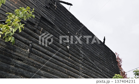Burnt logs of a wooden house wall showing fire damage and destruction Burnt logs of a wooden house wall showing fire damage and destruction 137404231