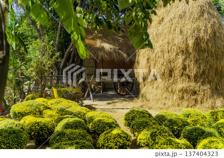 Yellow flowers. 137404323