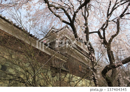 上田城 上田城 137404345