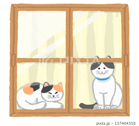 窓と猫 窓と猫 137404358