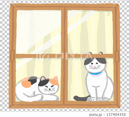 窓と猫 窓と猫 137404358