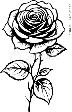 black graphic drawing of a rose flower on a white background, isolated element, decor black graphic drawing of a rose flower on a white background, isolated element, decor 137404532