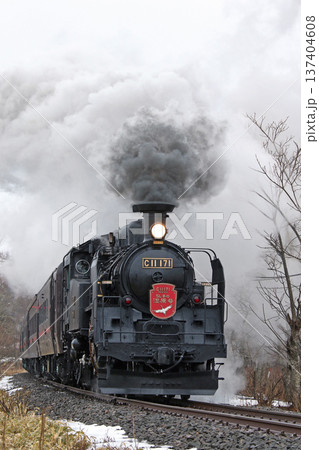 SL冬の湿原号　釧網本線　SL列車　蒸気機関車　C11 171 137404608