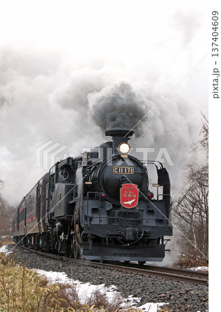 SL冬の湿原号　釧網本線　SL列車　蒸気機関車　C11 171 137404609