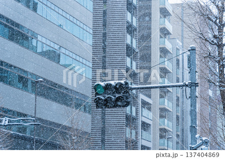 日本 東京 浅草の雪景色 日本 東京 浅草の雪景色 137404869