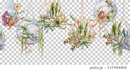 Watercolor rosette succulents in geometric wire planters, glass orb bubbles and bulbs, hanging gardens hand drawn in watercolor. Seamless botanical banner for design agencies, modern lifestyle blogs. Watercolor rosette succulents in geometric wire planters, glass orb bubbles and bulbs, hanging gardens hand drawn in watercolor. Seamless botanical banner for design agencies, modern lifestyle blogs. 137404968