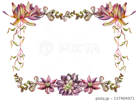 Aeonium rosette succulents, protea buds and trailing jungle vine plants frame. Isolated illustration hand drawn in watercolor. Organic product labels, zero-waste shop visuals, wellness brochures. Aeonium rosette succulents, protea buds and trailing jungle vine plants frame. Isolated illustration hand drawn in watercolor. Organic product labels, zero-waste shop visuals, wellness brochures. 137404971